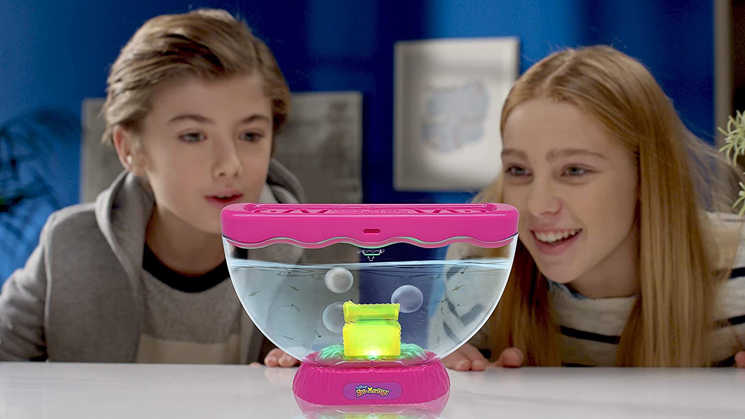 The Original Sea Monkeys Ocean Treasure Aquarium