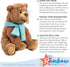 Rainbow Designs We're Going On a Bear Hunt Super Soft Brown Bear Plush Toy 24cm