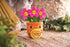 Swizzels Love Hearts 18CM Felicity Flowerpot Blooming Amazing Soft Plush Toy