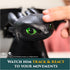 Dreamworks Dragons How to Train Your Dragon, Tame & Train Interactive Toothless