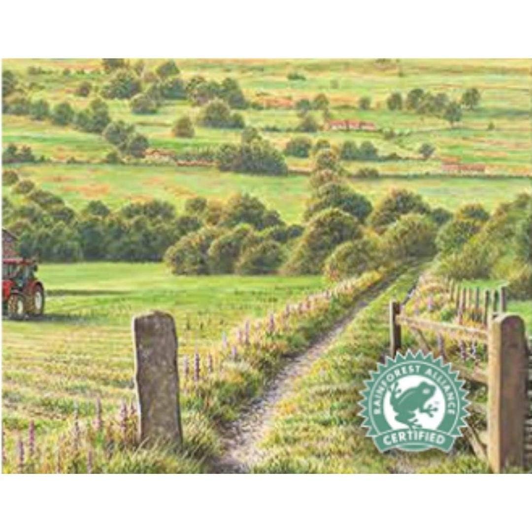 Taylors of Harrogate Yorkshire Tea, 656g - 210 Teabags