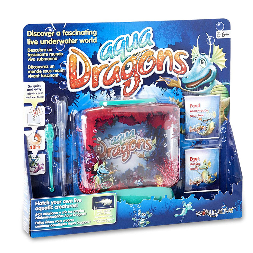Aqua Dragons Underwater World