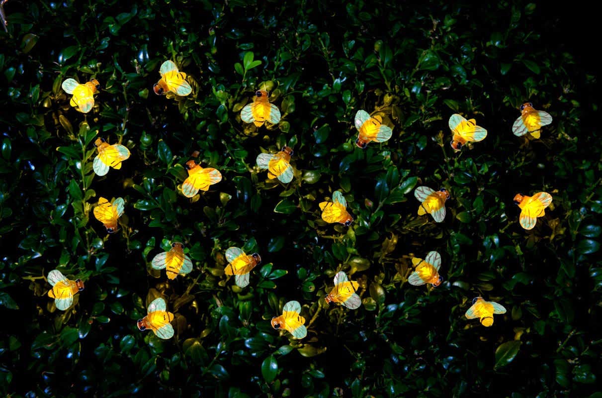 Honey Bee 30 LED Solar Powered String Lights Outdoor Garden Lighting