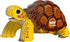 EUGY Tortoise 3D Model Craft Kit